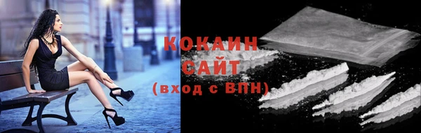 2c-b Бородино