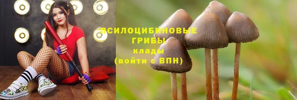 ГАЛЛЮЦИНОГЕННЫЕ ГРИБЫ Бугульма