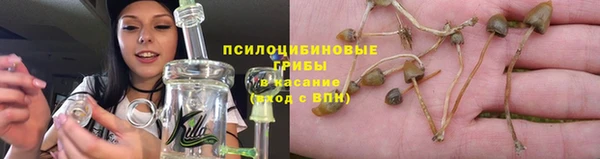 ГАЛЛЮЦИНОГЕННЫЕ ГРИБЫ Бугульма