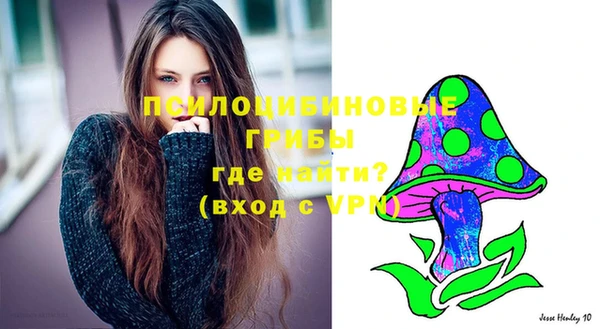 ГАЛЛЮЦИНОГЕННЫЕ ГРИБЫ Бугульма