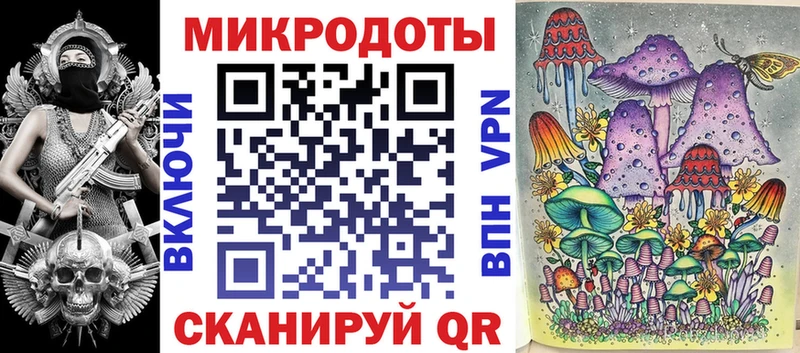 как найти закладки  Грайворон  Псилоцибиновые грибы Psilocybe 